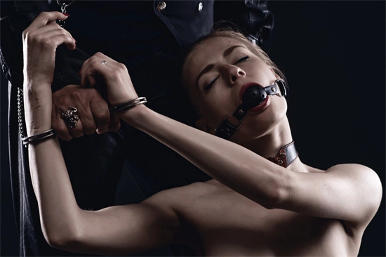 西檬之家你是s属性吗?字母圈支配者入门指南 一