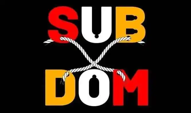 西檬之家K8是什么?字母圈猫系玩家入坑指南 一