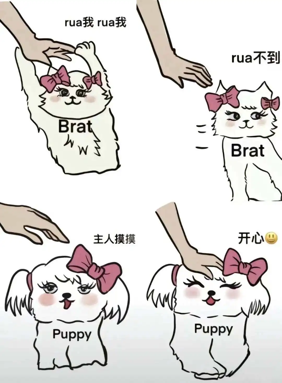 西檬之家TS是什么?跨性别者的字母圈身份解析 一