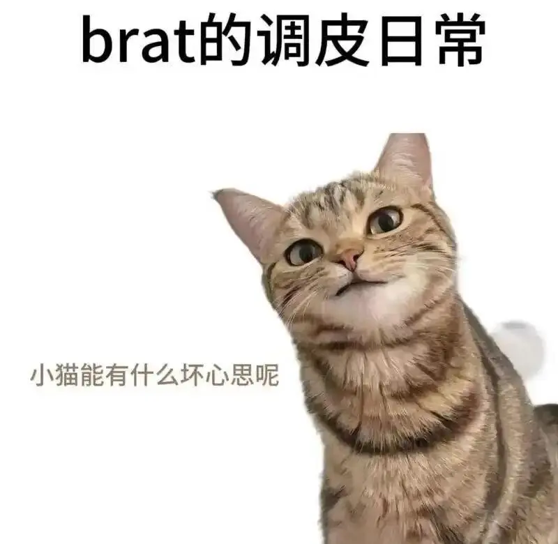 西檬之家TK是什么意思?字母圈挠痒痒入门 一
