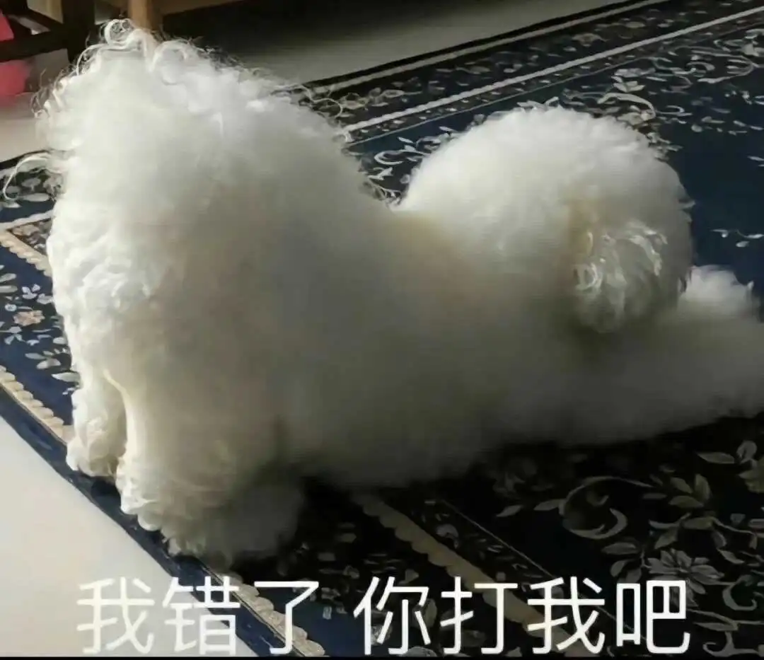西檬之家字母圈新人如何入圈? 一