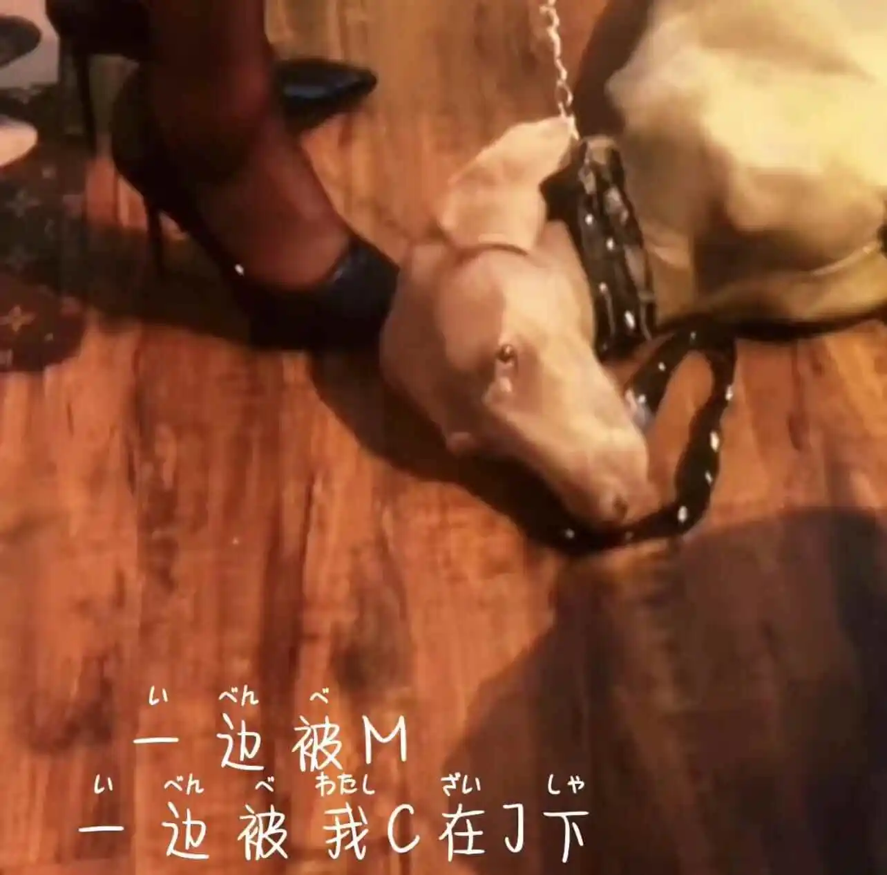 西檬之家恋物癖是什么?你的Fetish属性是什么 一