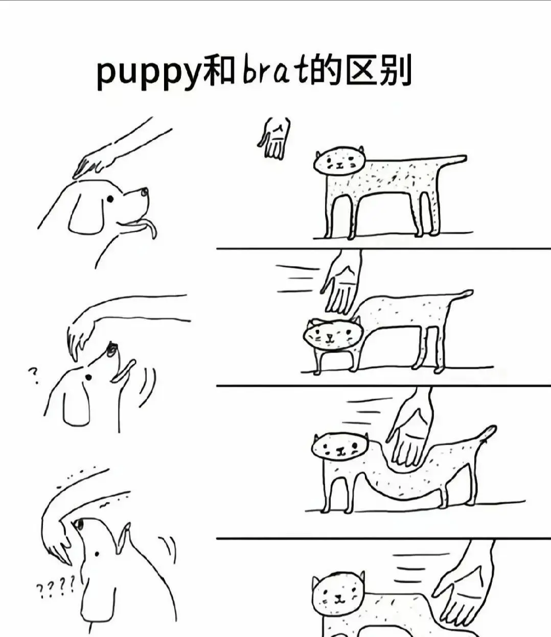 西檬之家恋物癖是什么?字母圈新人科普 一