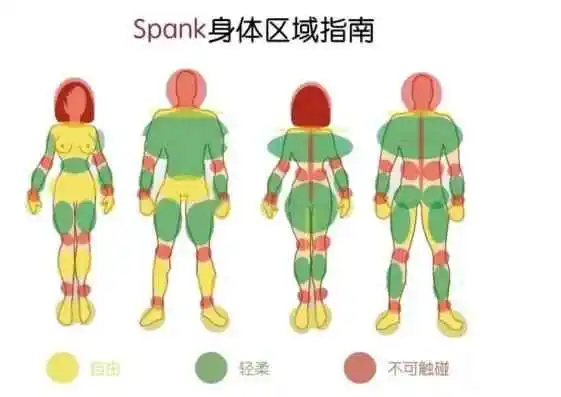 西檬之家字母圈s倾向是什么意思? 一