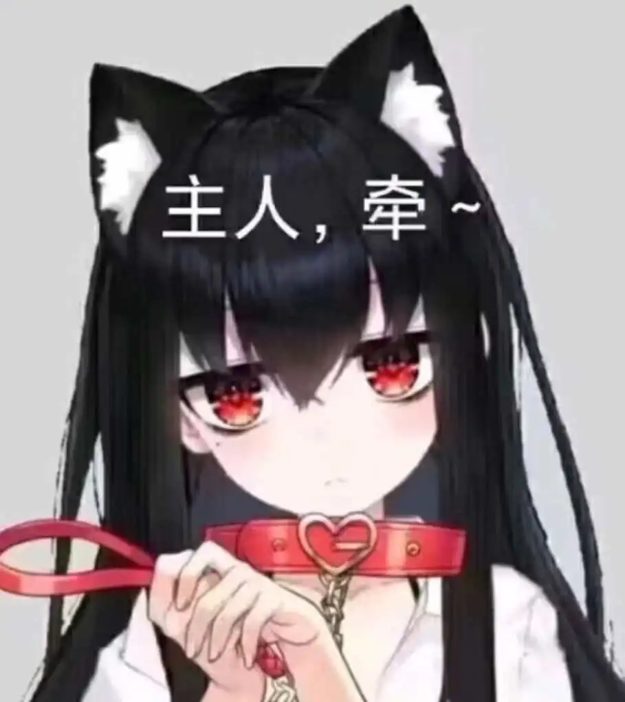 西檬之家k9犬系是什么意思 一