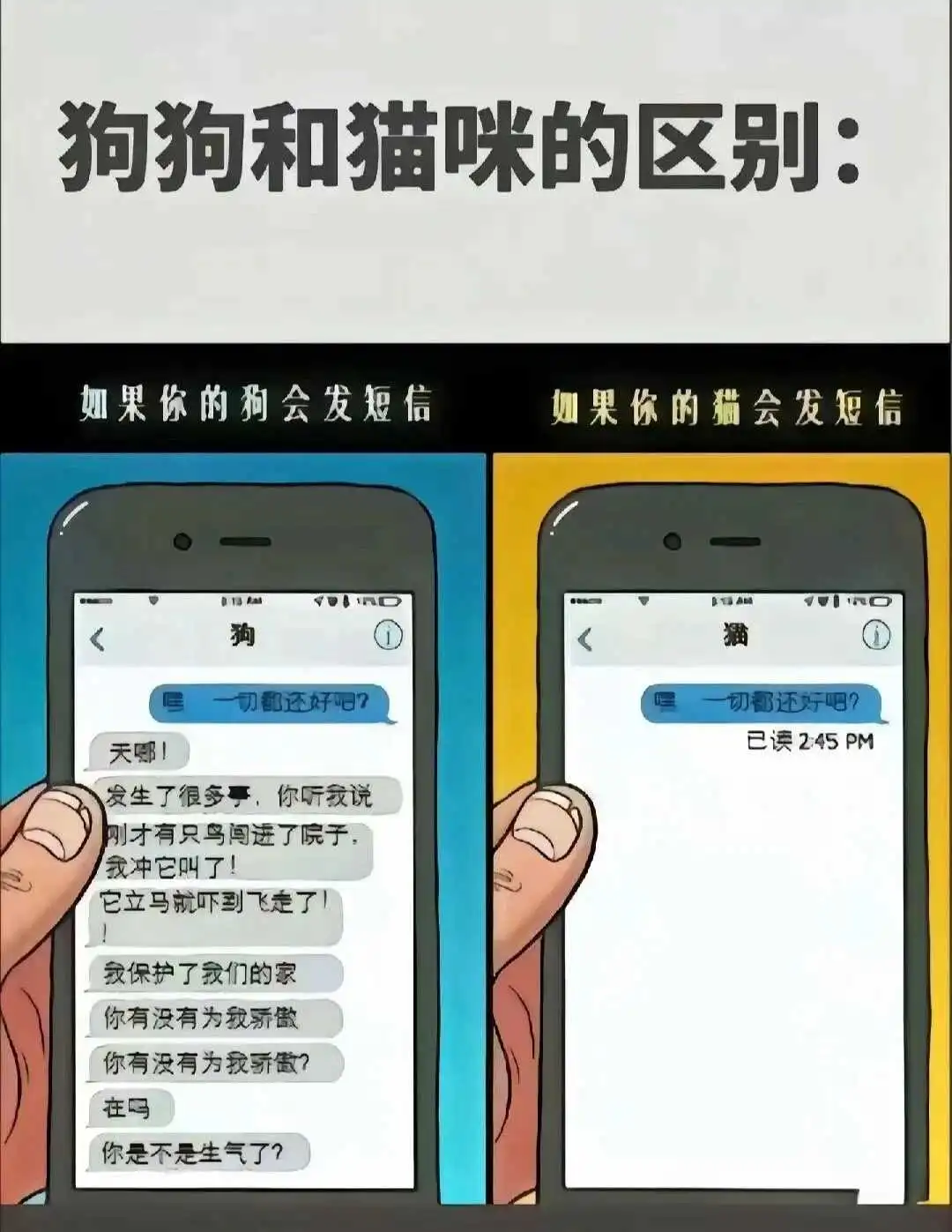 西檬之家字母圈的switch是什么意思? 一