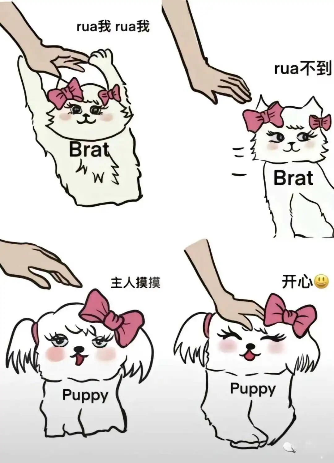 西檬之家字母圈的TK是什么? 一