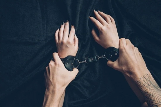 西檬之家S属性是什么意思? 一